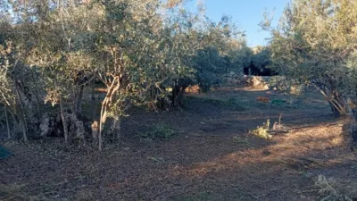 Rustic Finca in Villanueva de La Vera photo 42