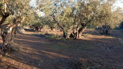 Rustic Finca in Villanueva de La Vera photo 29