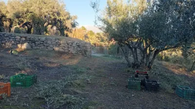 Rustic Finca in Villanueva de La Vera photo 37