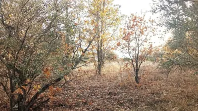 Rustic farm in Viandar de La Vera photo 35