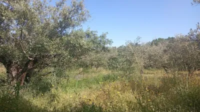 Chalet in Villanueva de La Vera photo 92