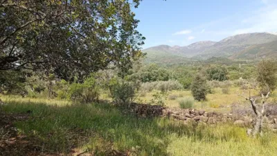 Rustic finca in Villanueva de La Vera photo 91