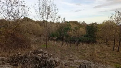 Finca rústica en Villanueva de La Vera photo 67