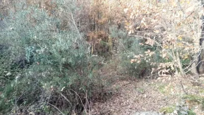 Rustic Finca in Viandar de La Vera photo 16