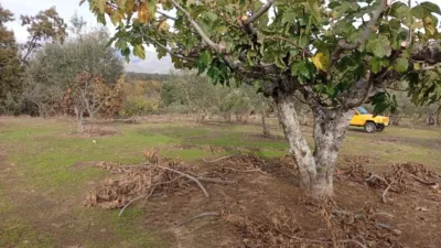 Rustic finca in Villanueva de La Vera photo 37