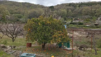 Rustic Finca in Villanueva de La Vera photo 20