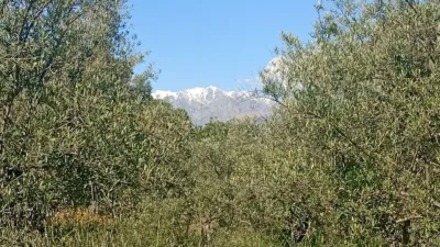 Chalet in Villanueva de La Vera photo 51