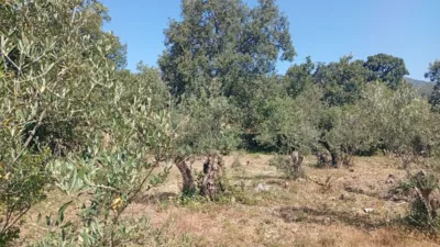 Rustic farm in Villanueva de La Vera photo 13