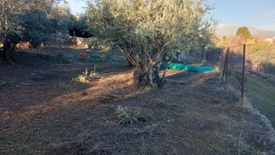 Rustic Finca in Villanueva de La Vera photo 15
