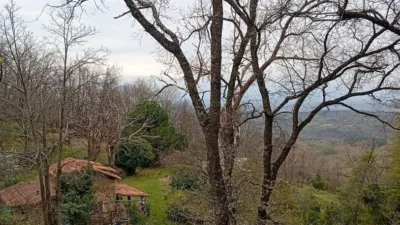 Rustic Finca in Valverde de La Vera photo 36