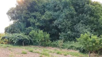 Rustic finca in Madrigal de La Vera photo 12