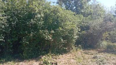 Rustic farm in Villanueva de La Vera photo 24