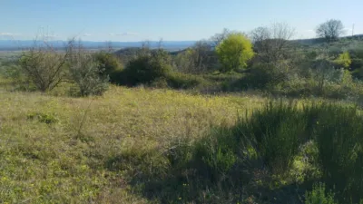 Rustic finca in Viandar de La Vera photo 21