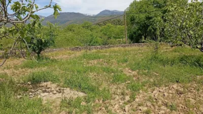 Rustic finca in Villanueva de La Vera photo 39