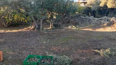 Rustic Finca in Villanueva de La Vera photo 22