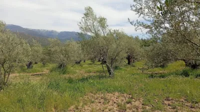 Rustic finca in Villanueva de La Vera photo 53