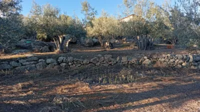 Rustic Finca in Villanueva de La Vera photo 49