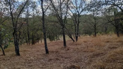 Rustic Finca in Villanueva de La Vera photo 32