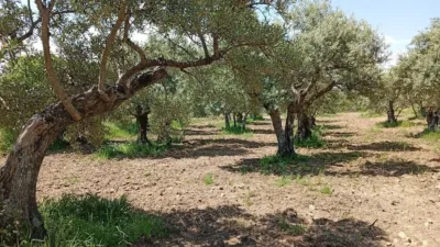 Rustic Finca in Villanueva de La Vera photo 11
