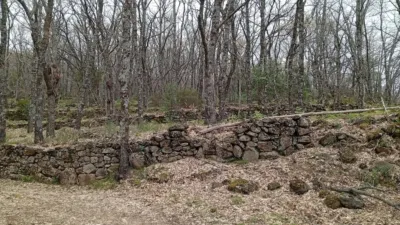 Rustic Finca in Valverde de La Vera photo 20