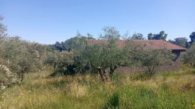 Chalet in Villanueva de La Vera photo 81