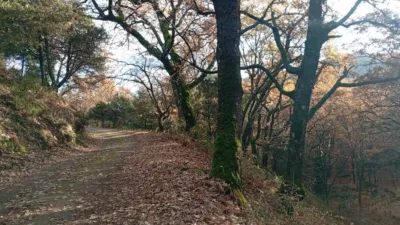 Rustic Finca in Villanueva de La Vera photo 8