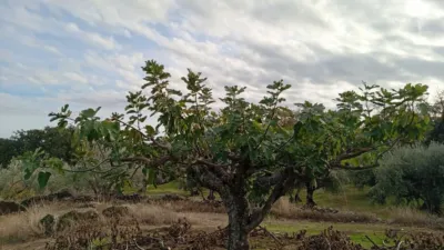 Rustic finca in Villanueva de La Vera photo 36