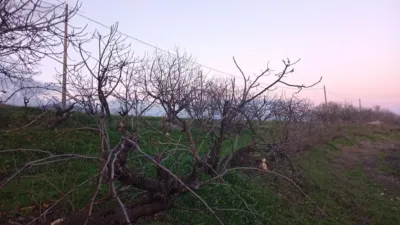 Rustic Finca in Losar de La Vera photo 23