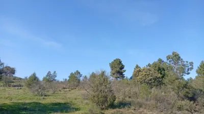 Rustic Finca in Villanueva de La Vera photo 3