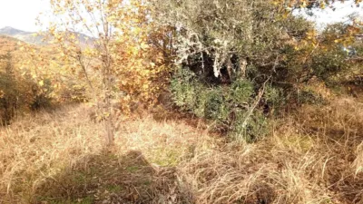 Rustic farm in Viandar de La Vera photo 44