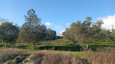 Rustic Finca in Losar de La Vera photo 78