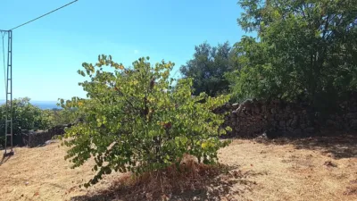 Rustic finca in Talaveruela de La Vera photo 9