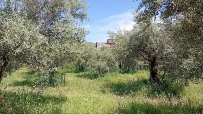 Rustic Finca in Villanueva de La Vera photo 72