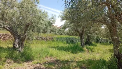 Rustic Finca in Villanueva de La Vera photo 74