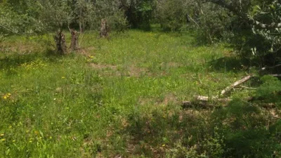 Rustic farm in Villanueva de La Vera photo 5