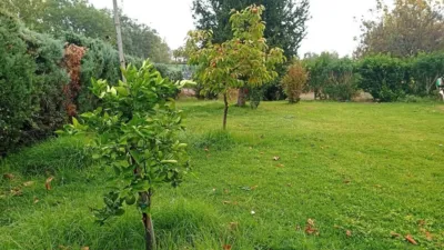 Rustic Finca in Madrigal de La Vera photo 5