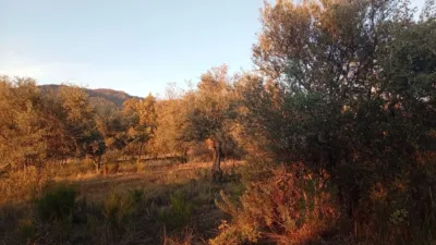 Rustic farm in Viandar de La Vera photo 3