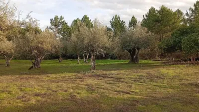 Rustic Finca in Villanueva de La Vera photo 30