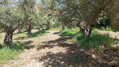 Rustic Finca in Villanueva de La Vera photo 55