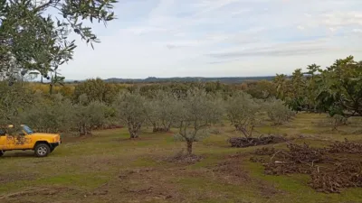 Rustic finca in Villanueva de La Vera photo 53