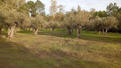Rustic Finca in Villanueva de La Vera photo 33