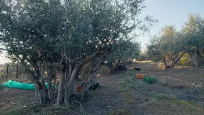Rustic Finca in Villanueva de La Vera photo 33