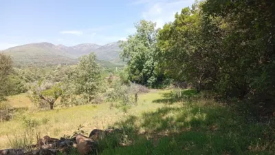 Rustic finca in Villanueva de La Vera photo 94