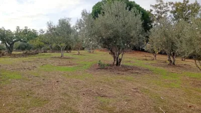 Rustic finca in Villanueva de La Vera photo 64