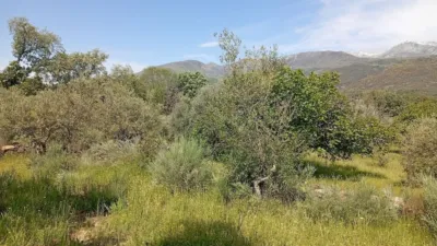 Rustic finca in Villanueva de La Vera photo 75