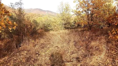 Rustic farm in Viandar de La Vera photo 4