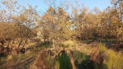 Rustic farm in Viandar de La Vera photo 39