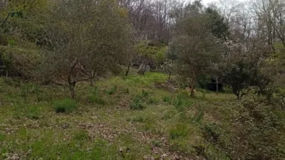 Rustic Finca in Valverde de La Vera photo 34