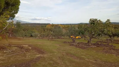 Rustic finca in Villanueva de La Vera photo 39