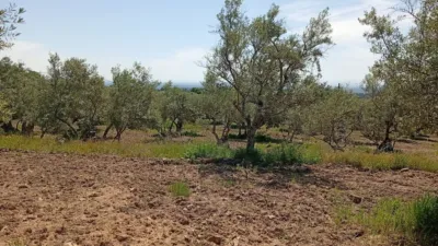 Rustic Finca in Villanueva de La Vera photo 20